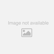 652 Packaging Tape Clear 48mm x 75m 36 rolls/ctn